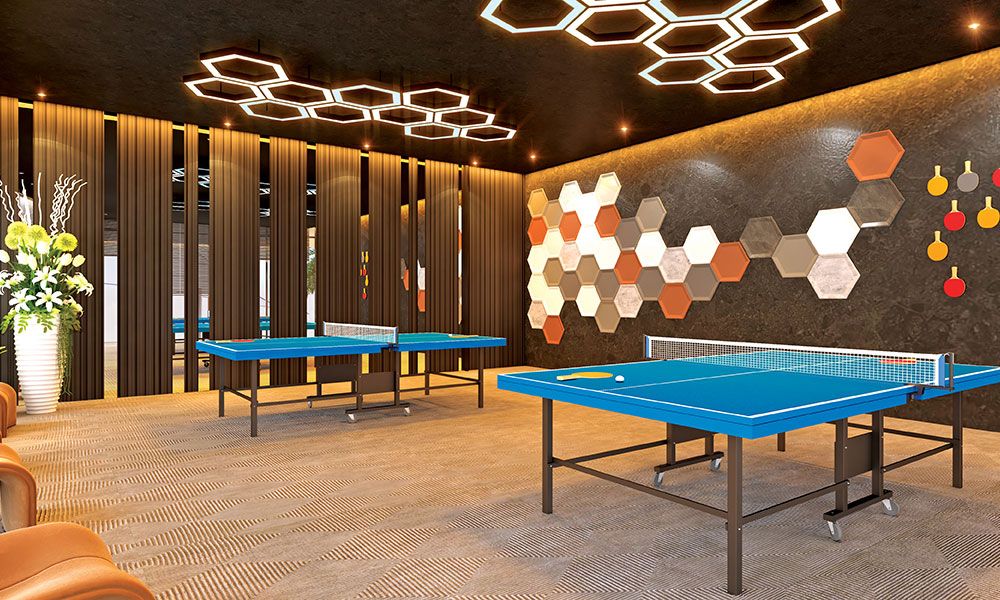 Project Amenities 30