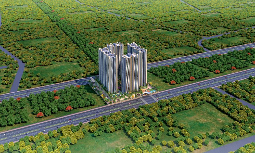 VTP FLAMANTE Gallery Images