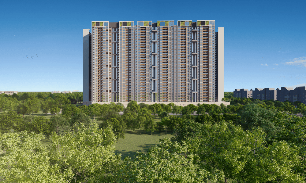 VTP EUPHORIA Gallery Images