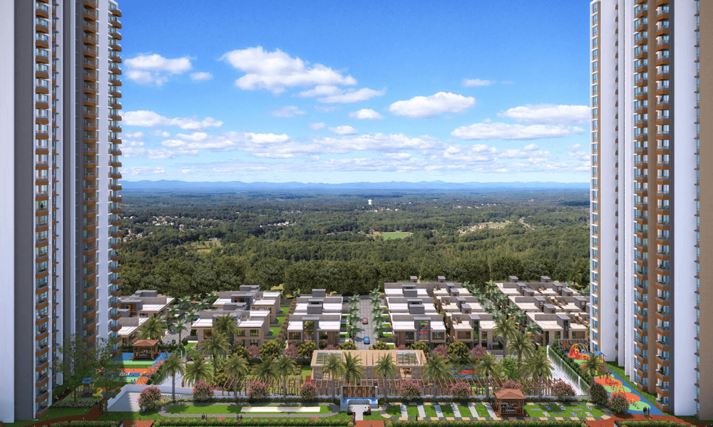 VTP EUPHORIA Gallery Images