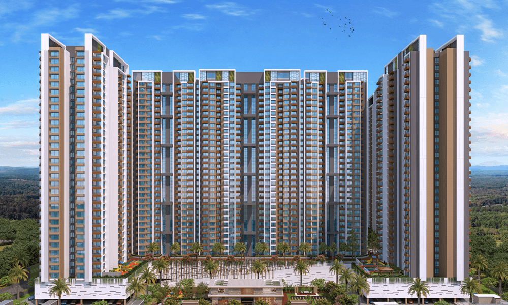 VTP EUPHORIA Gallery Images