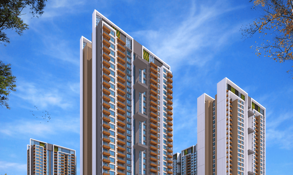 VTP EUPHORIA Gallery Images