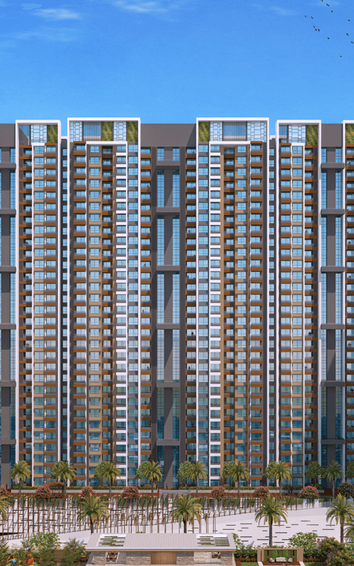 VTP EUPHORIA Gallery Images